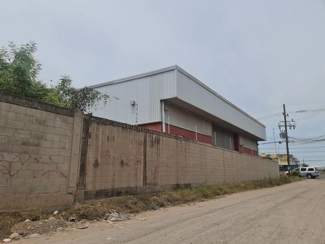 Foto de la galeria de imagenes