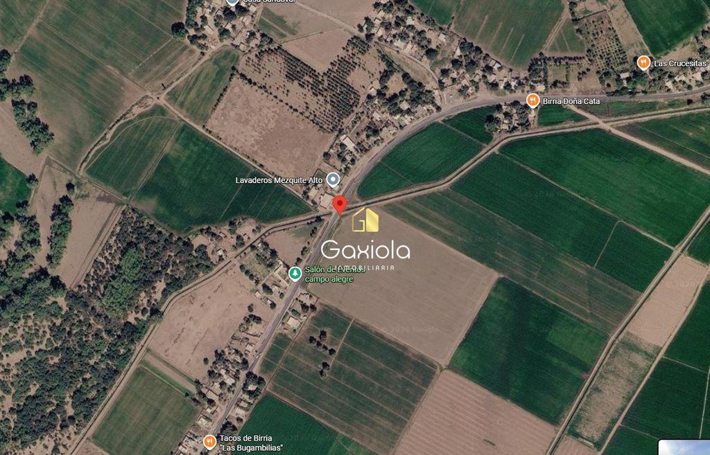 Foto de la galeria de imagenes