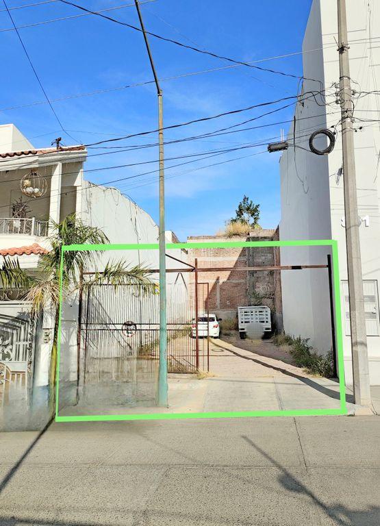 Foto de la galeria de imagenes