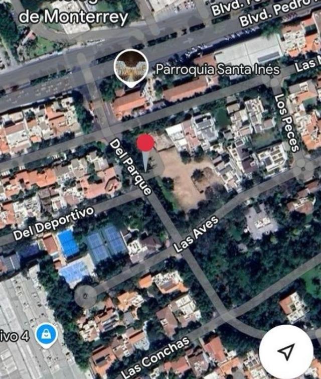 Foto de la galeria de imagenes