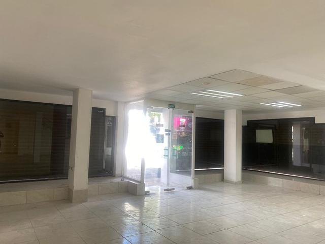Foto de la galeria de imagenes