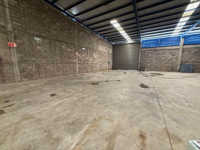 Foto de la galeria de imagenes