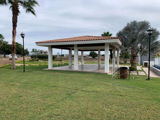 Foto de la galeria de imagenes