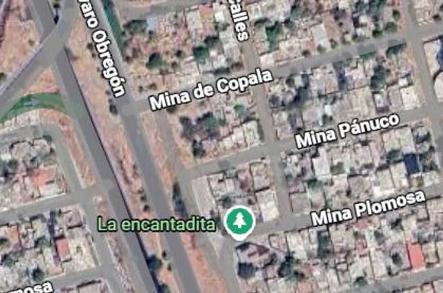 Foto de la galeria de imagenes