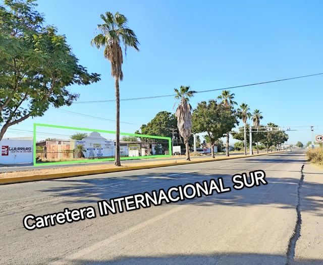Foto de la galeria de imagenes