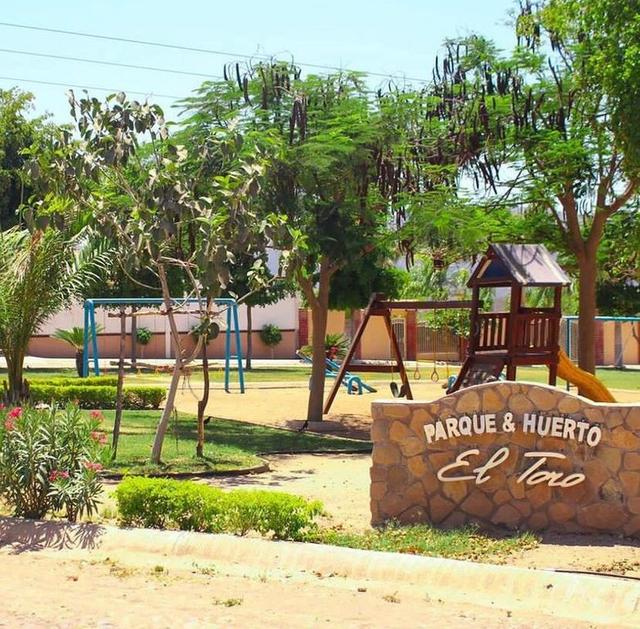 Foto de la galeria de imagenes