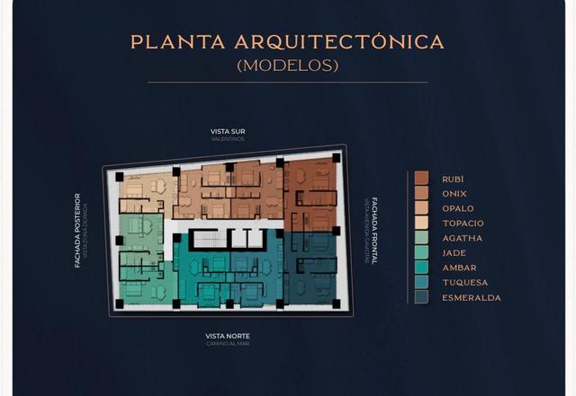 Foto de la galeria de imagenes