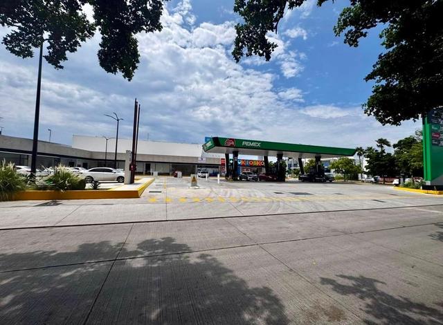 Foto de la galeria de imagenes