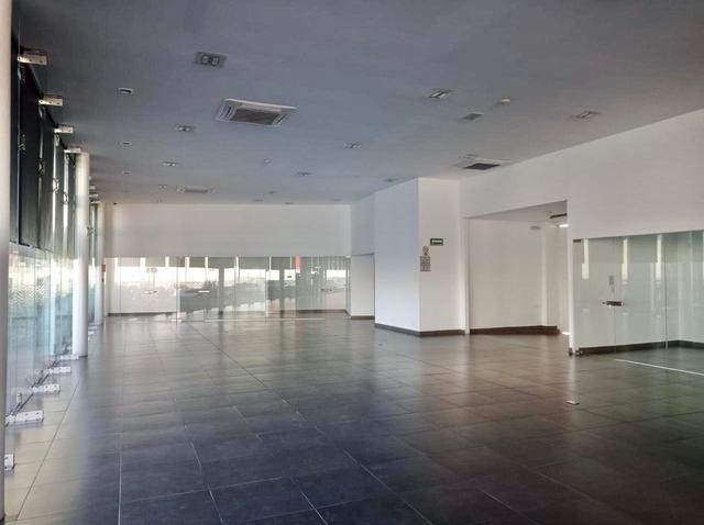 Foto de la galeria de imagenes
