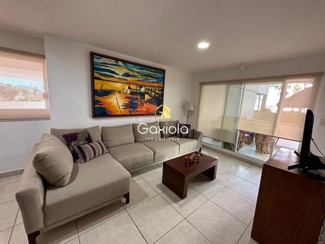 Foto de la galeria de imagenes