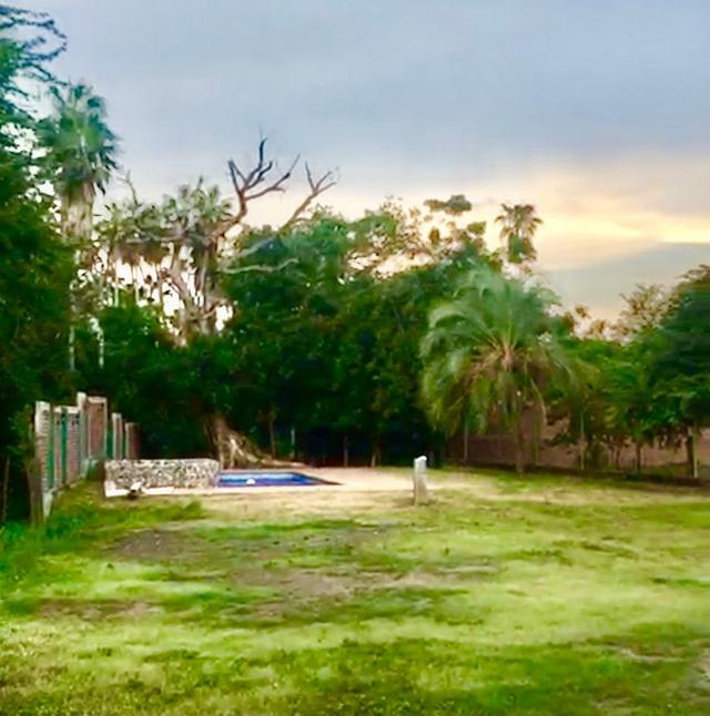 Foto de la galeria de imagenes