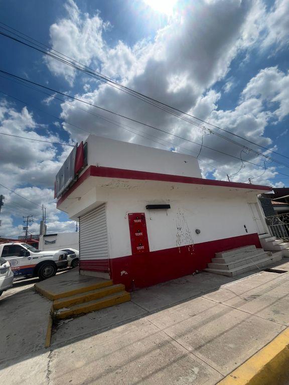Foto de la galeria de imagenes