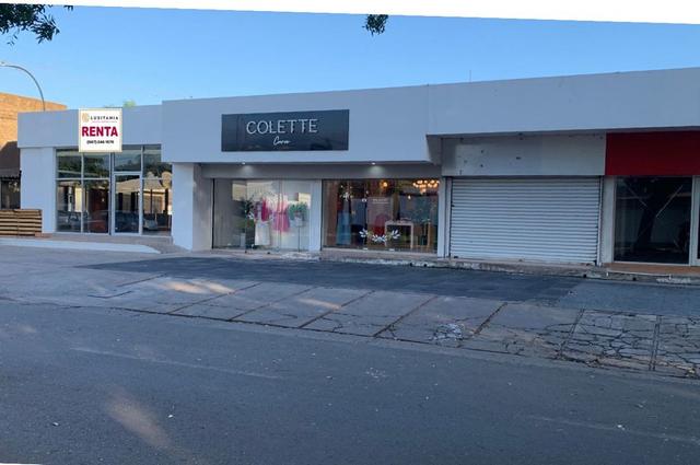 Foto de la galeria de imagenes