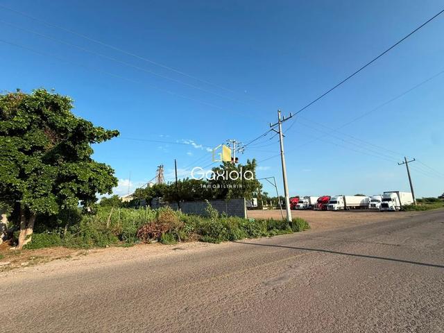 Foto de la galeria de imagenes