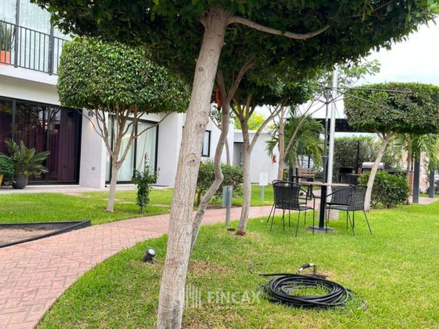 Foto de la galeria de imagenes
