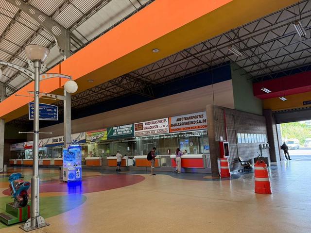 Foto de la galeria de imagenes